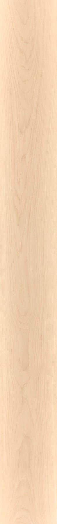 Prime/Bis plank