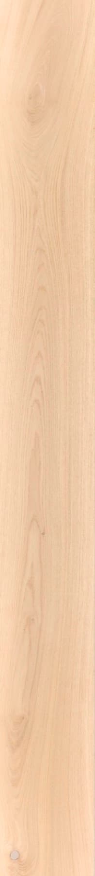 Country plank 3